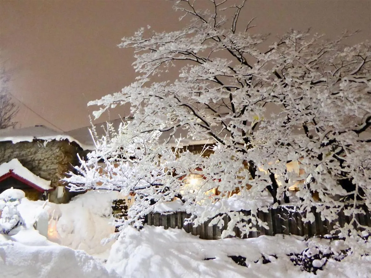 The Otaornai Backpacker'S Hostel Morinoki Otaru Japan