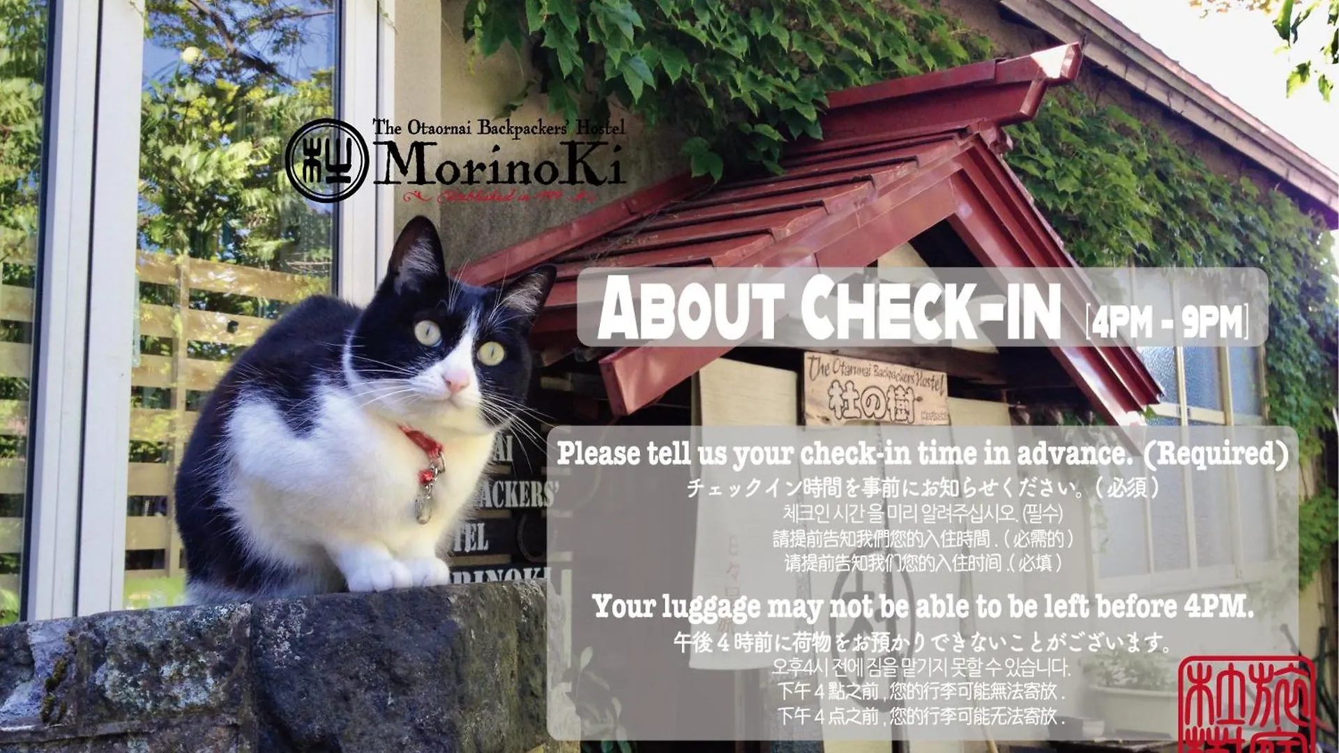 The Otaornai Backpacker'S Hostel Morinoki Otaru
